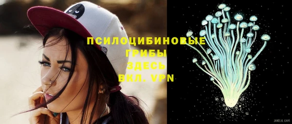 первитин Осинники
