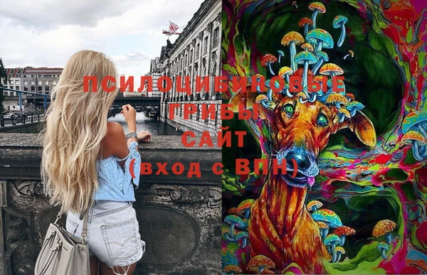 MDMA Беломорск