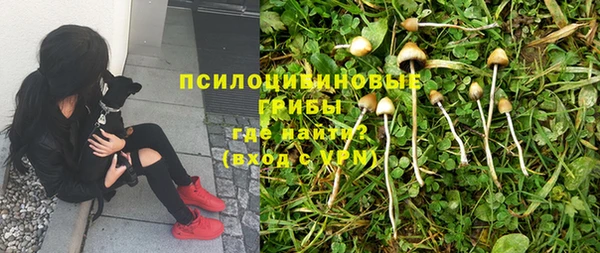 apvp Богданович
